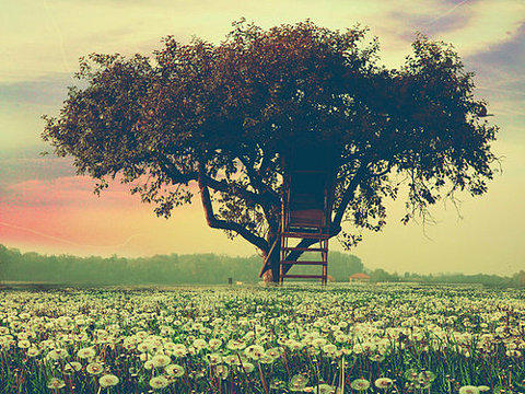 aaPanel一键优化脚本,增加简体中文语言-小玖网_综合网创资源_优质付费资源_知识付费网课平台_创业项目