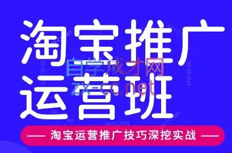 美迪电商·淘宝高级运营班+推广运营班(更新9月)-小玖网_综合网创资源_优质付费资源_知识付费网课平台_创业项目