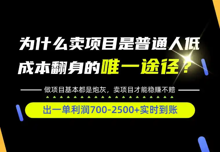 普通人如何靠互联网賺取自己的第一桶金！全类目实操型教学，看完你全都懂了！【揭秘】-小玖网_综合网创资源_优质付费资源_知识付费网课平台_创业项目