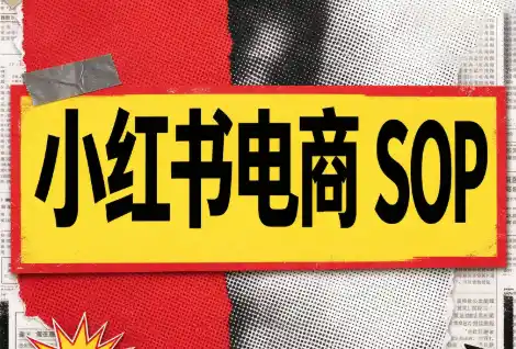 书豪必胜小红书电商sop(更新9月)-小玖网_综合网创资源_优质付费资源_知识付费网课平台_创业项目
